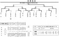 Ｈ２５全国大会予選15人制結果一覧